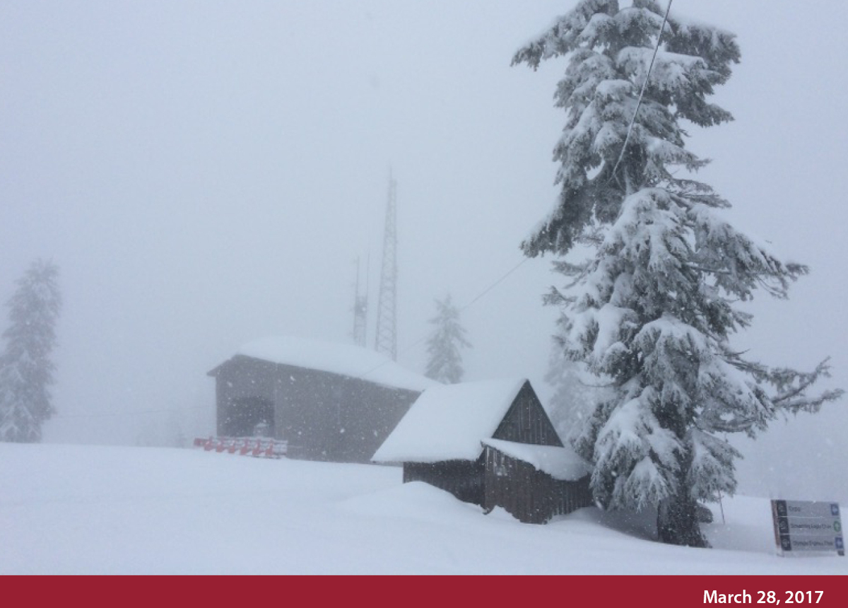 Current Conditions Grouse Mountain The Peak of Vancouver