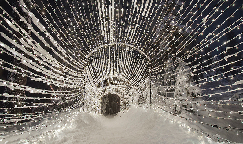 Enjoy our Light Walk tunnel this winter.