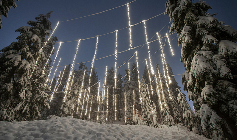 Come experience that magic of the Light Walk this winter.