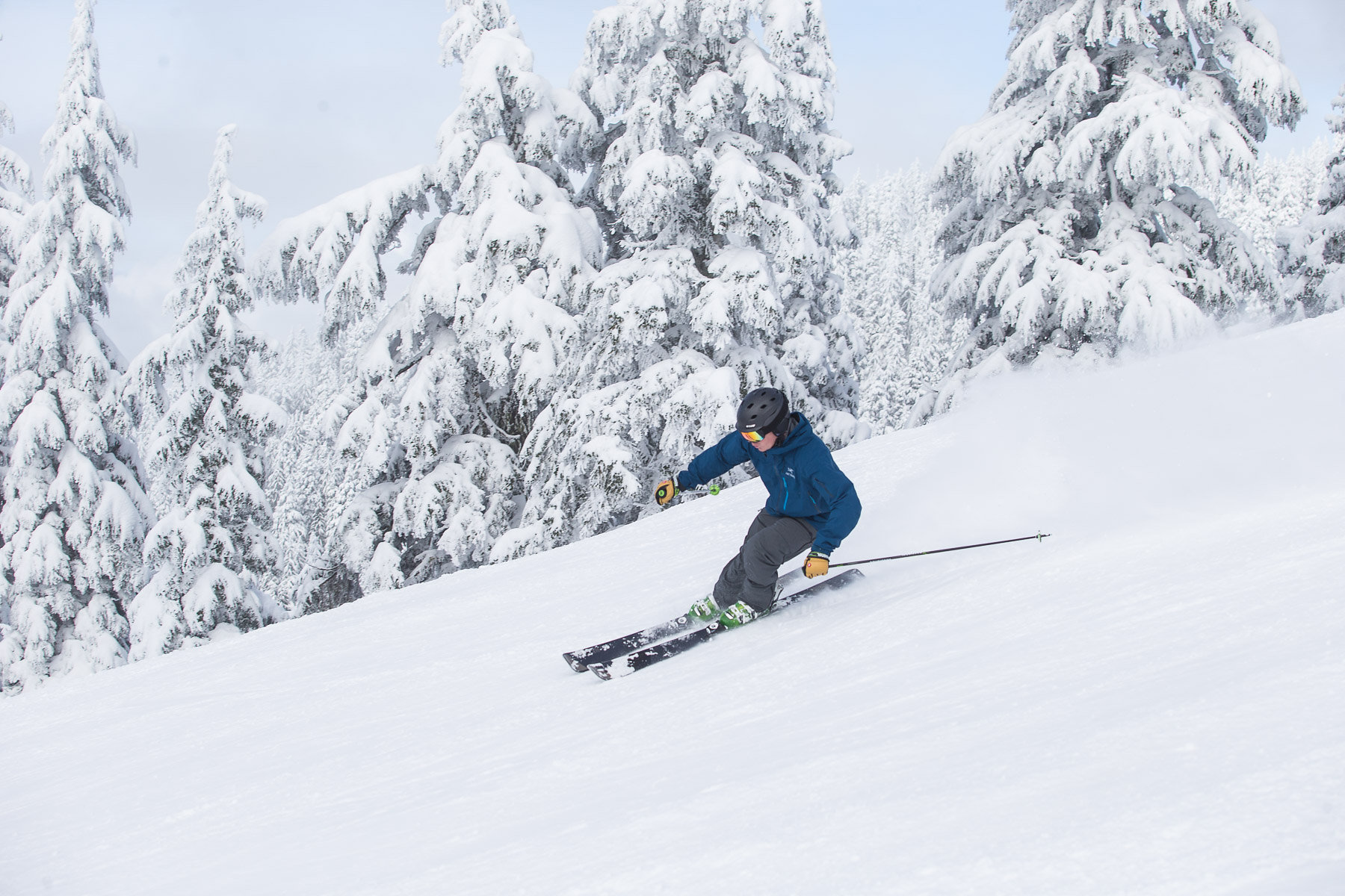 Early Bird Passes On Sale Now | Grouse Mountain - The Peak of Vancouver