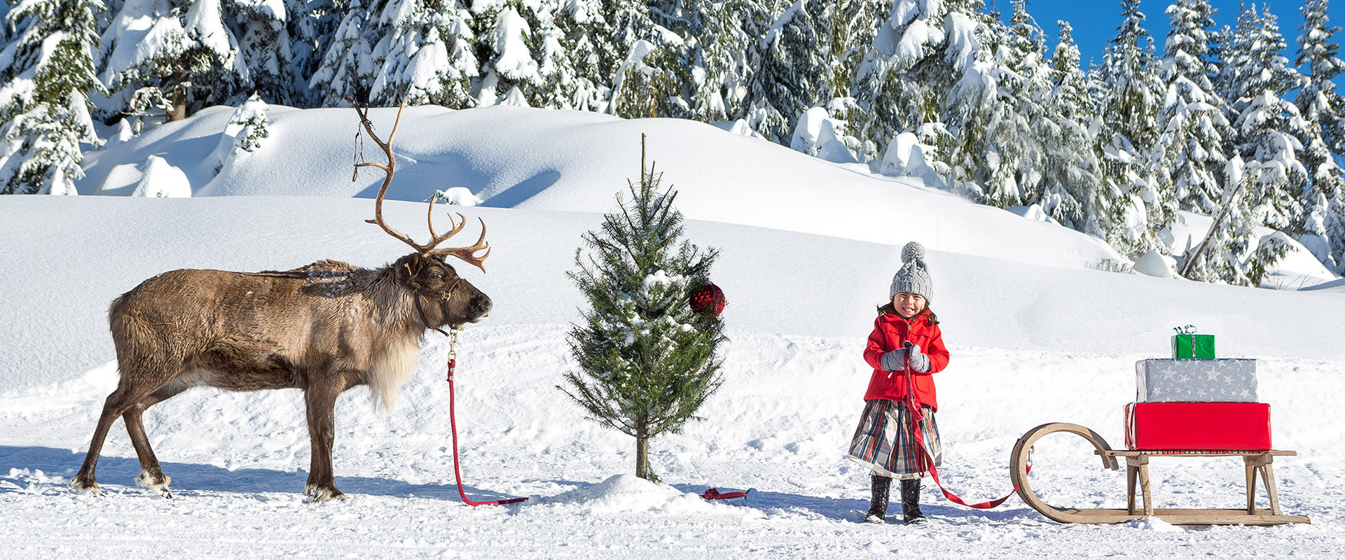 Celebrate the Holidays at Grouse Mountain’s Peak of Christmas Grouse