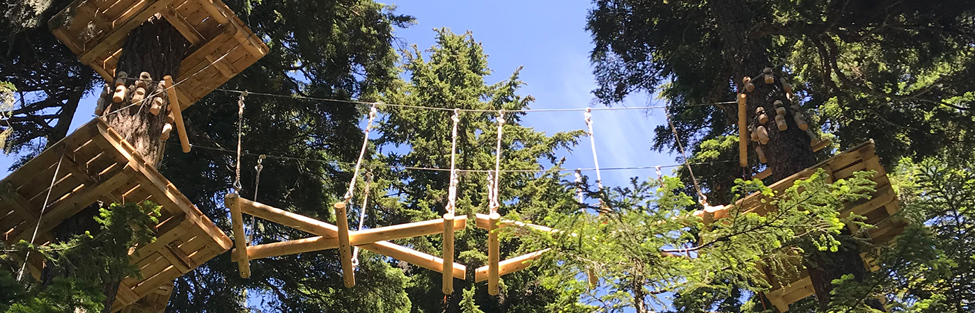 New aerial ropes course coming to Grouse Mountain