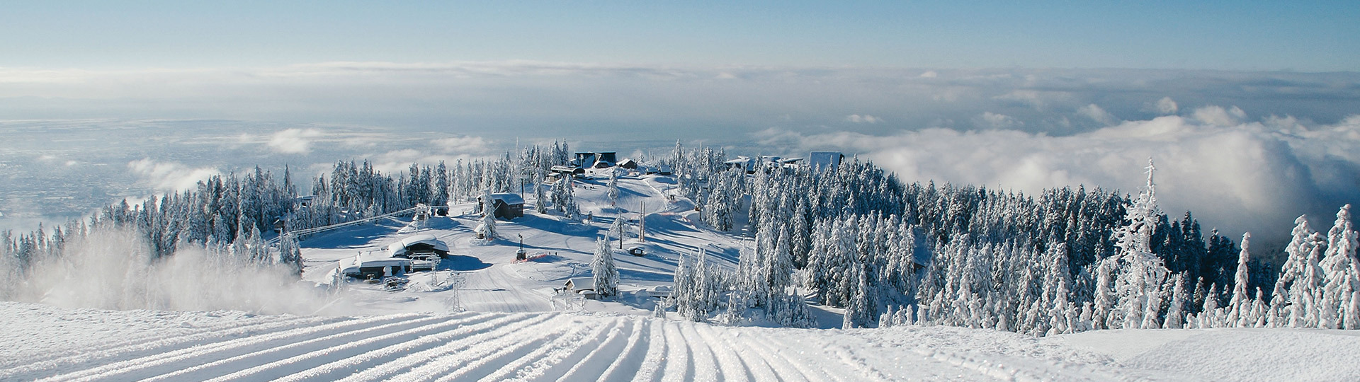 Grouse Mountain The Peak Of Vancouver