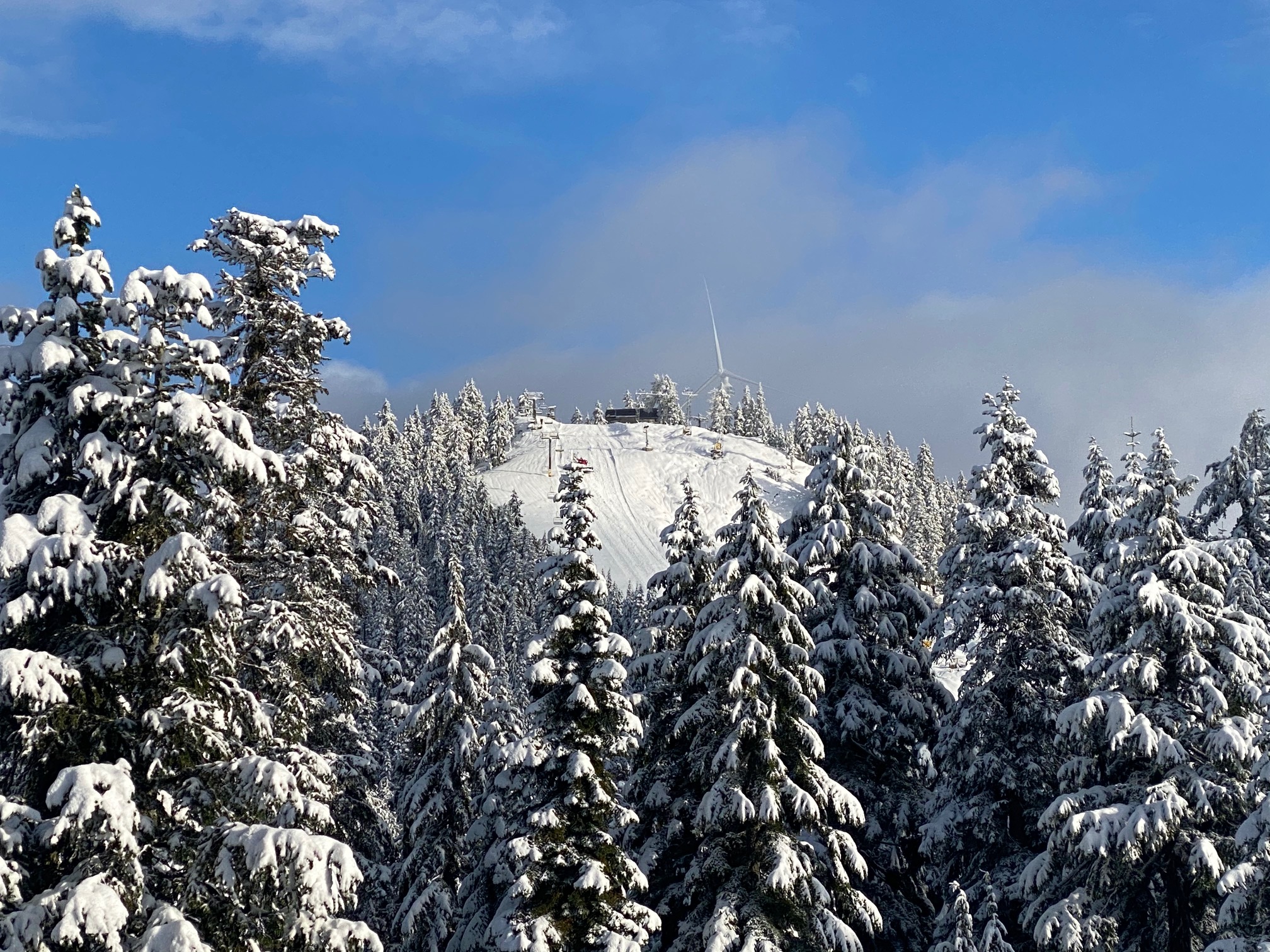 Grouse Mountain Opening Limited Terrain for Skiing and Riding on Friday