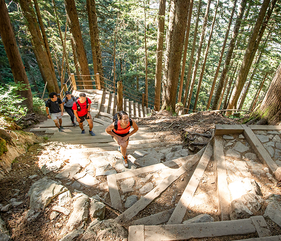 Orientamento Grouse Mountain - Pannelli informativi, Segnaletica Grouse  Mountain